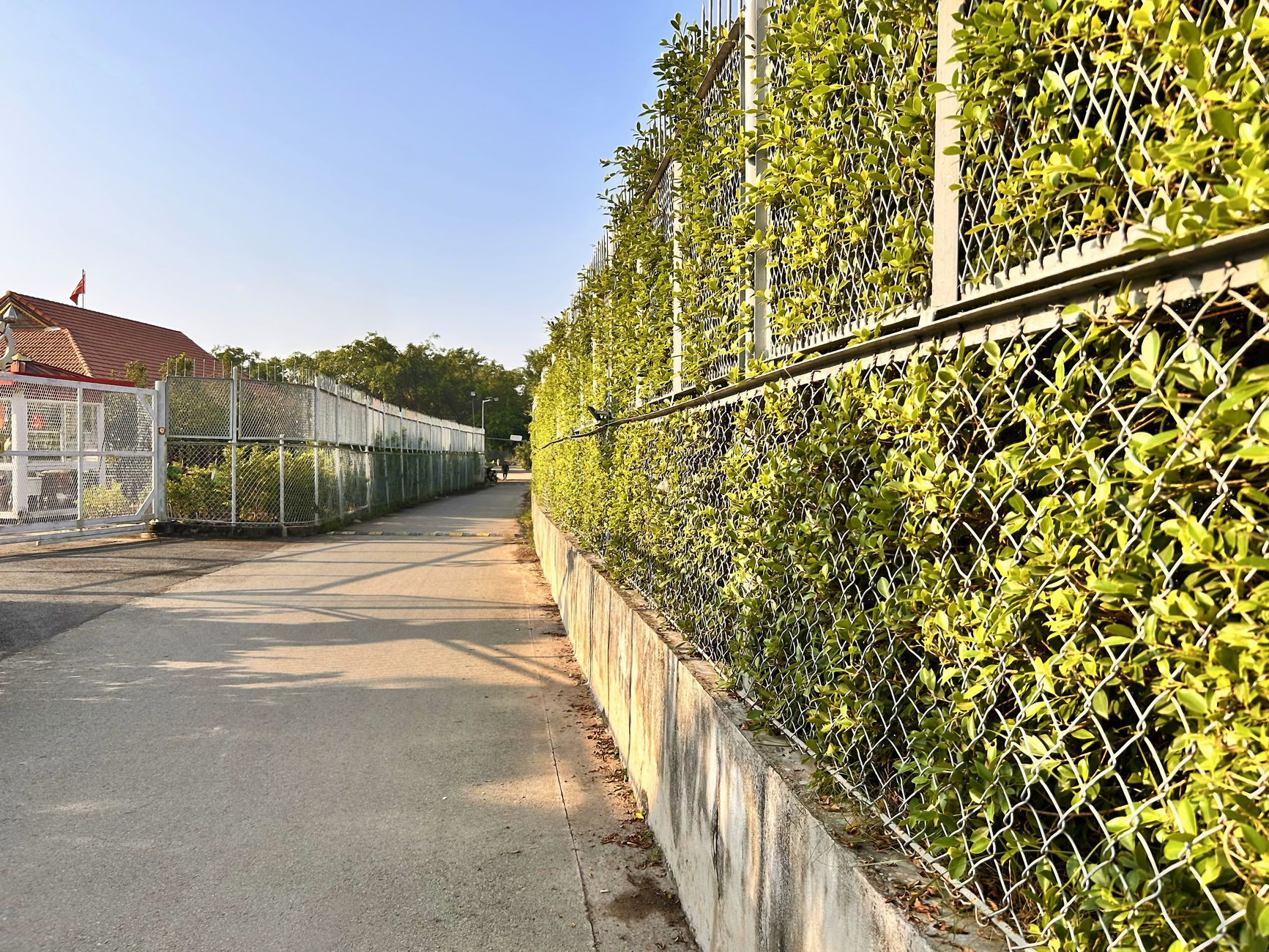 Chain Link Fencing
